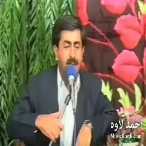 مزگینی